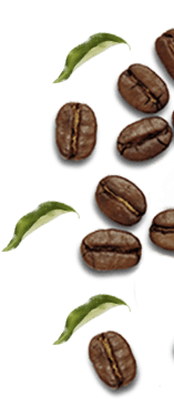 Kava i čaj