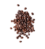Kava